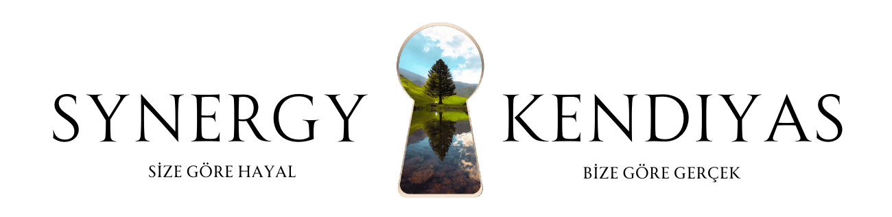 Synergy Kendiyas