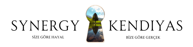 Synergy Kendiyas Akademi